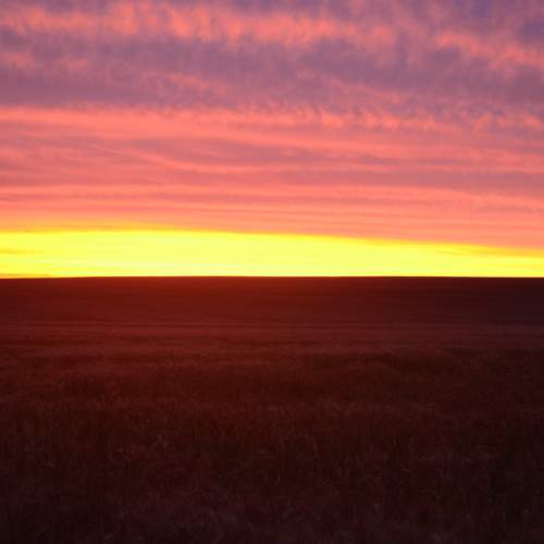 Photo #12518939