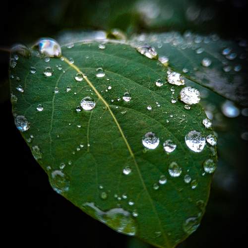 Photo #12519185