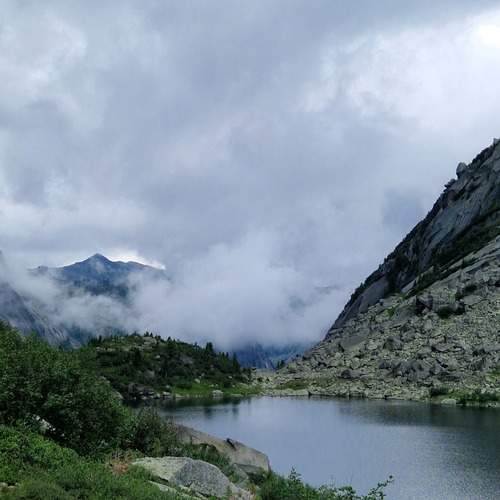 Photo #12519276