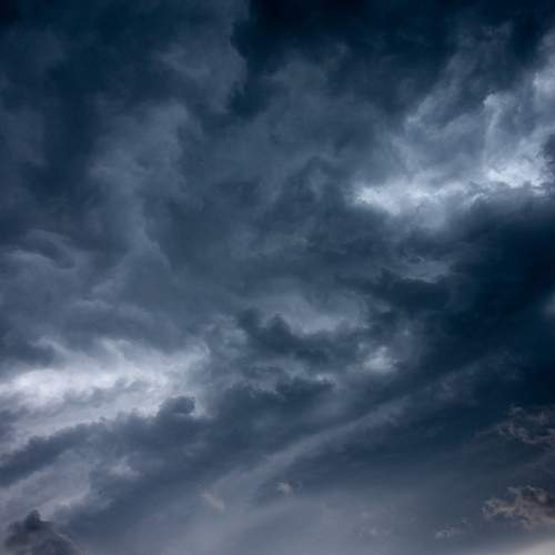 Photo #12519383