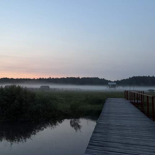 Photo #12519394