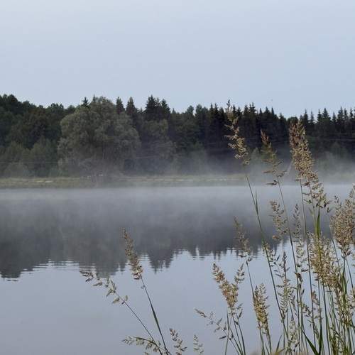 Photo #12519401