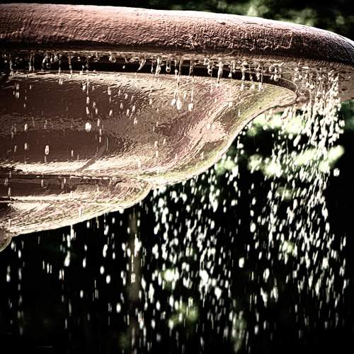 Photo #12519450