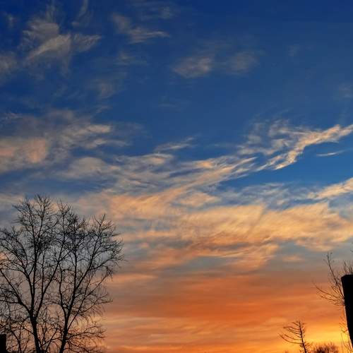 Photo #12519574