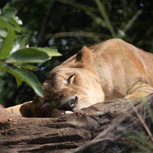 Photo #12519623