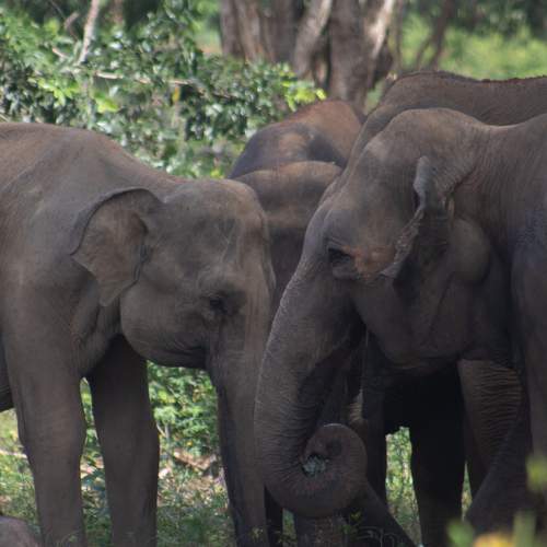 Photo #12519636
