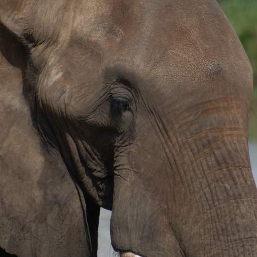 Photo #12519656