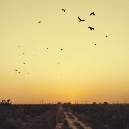 Photo #12519704