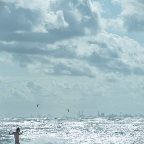 Photo #12519711