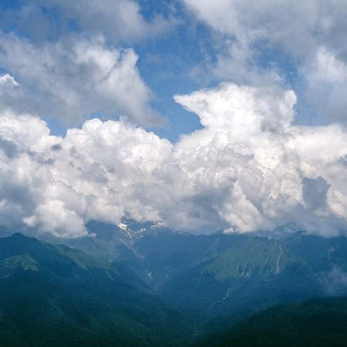 Photo #12520066