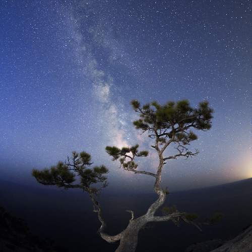Photo #12520103