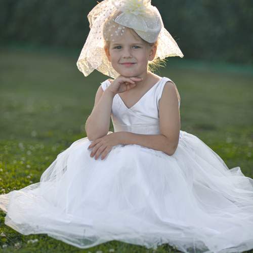 Photo #12520190