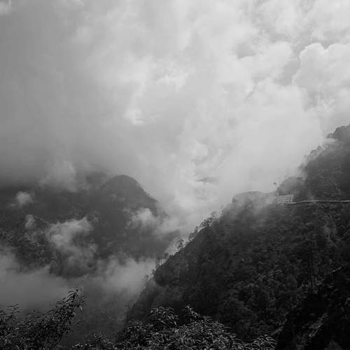 Photo #12520192