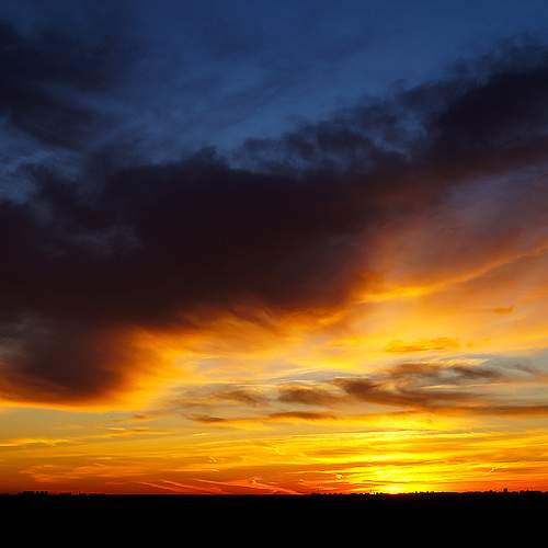 Photo #12520342