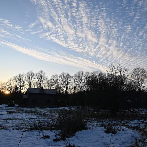 Photo #12520566