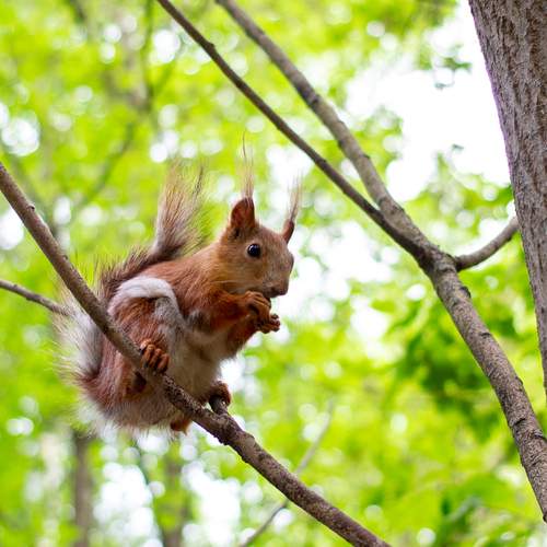 Photo #12520583
