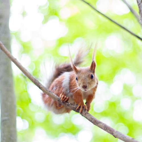 Photo #12520586
