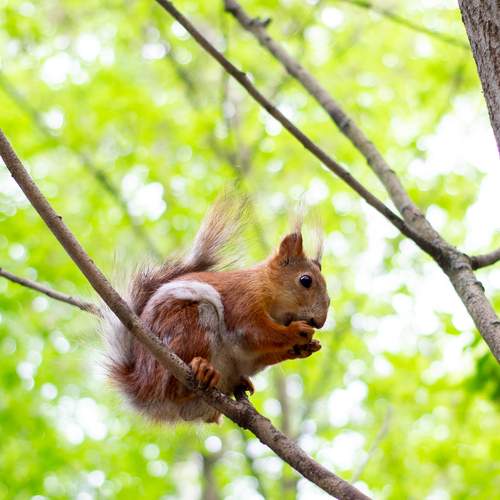 Photo #12520587