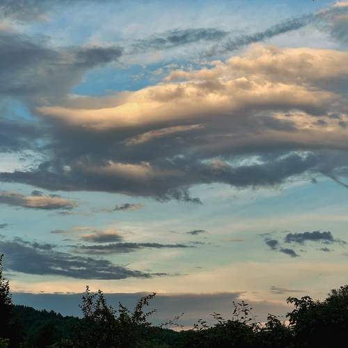 Photo #12520650