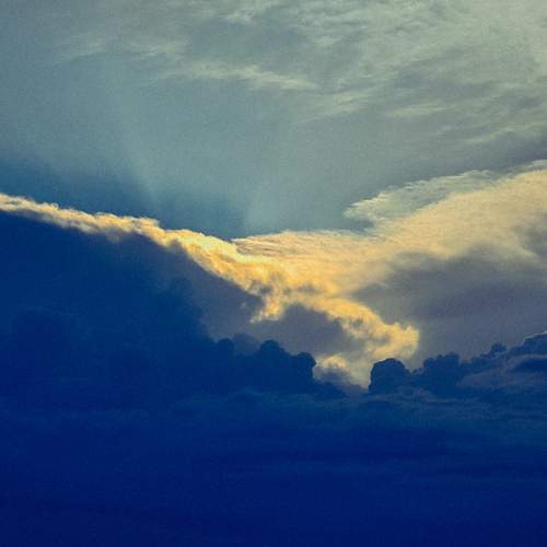 Photo #12520672