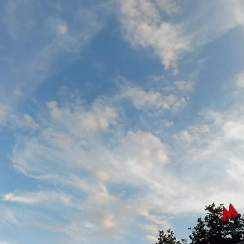 Photo #12520697