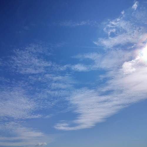 Photo #12520699