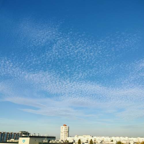 Photo #12520701