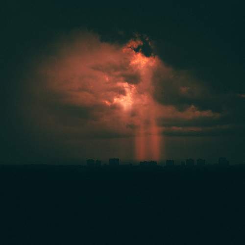 Photo #12520718