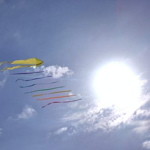 Photo #12520719
