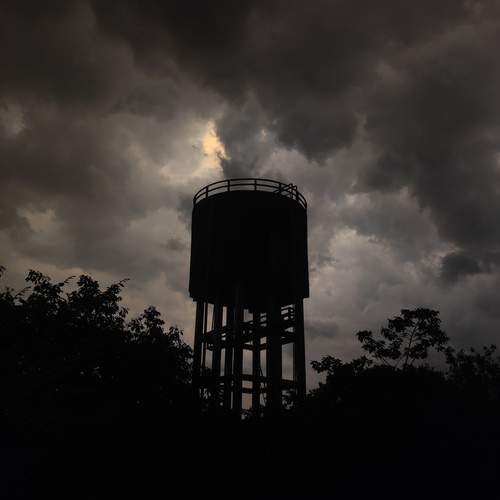 Photo #12521187