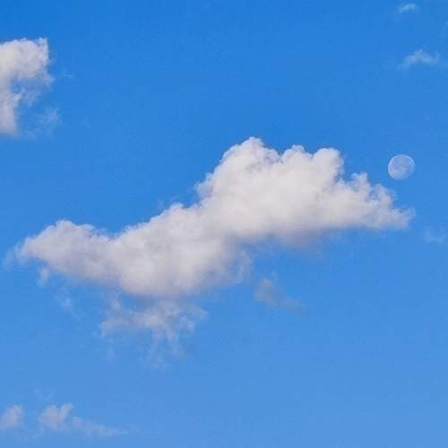 Photo #12521189