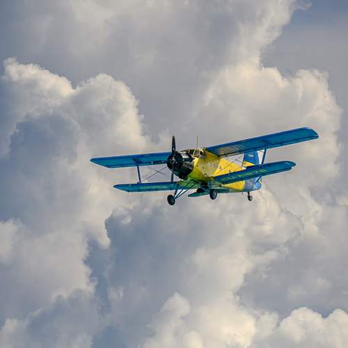 Photo #12521210