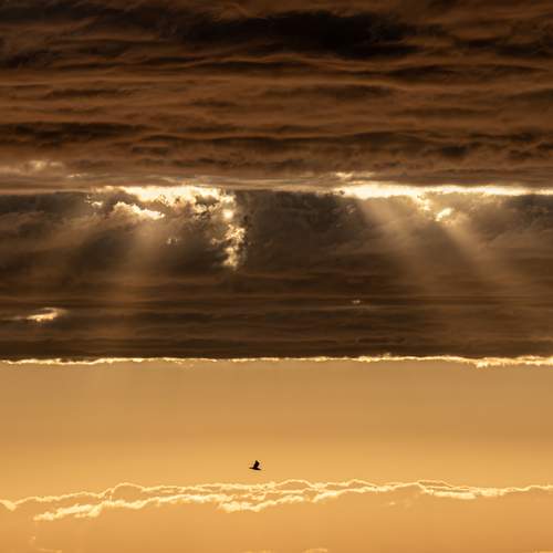 Photo #12521395