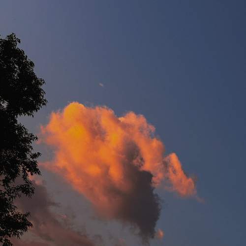 Photo #12521419