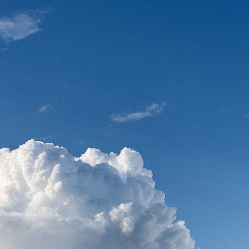Photo #12521420