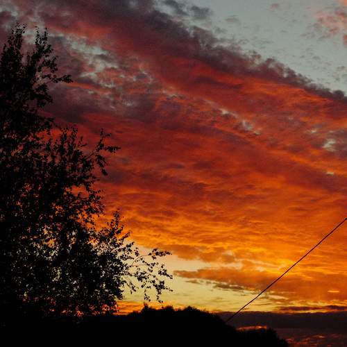 Photo #12521422