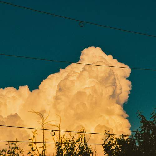 Photo #12521431