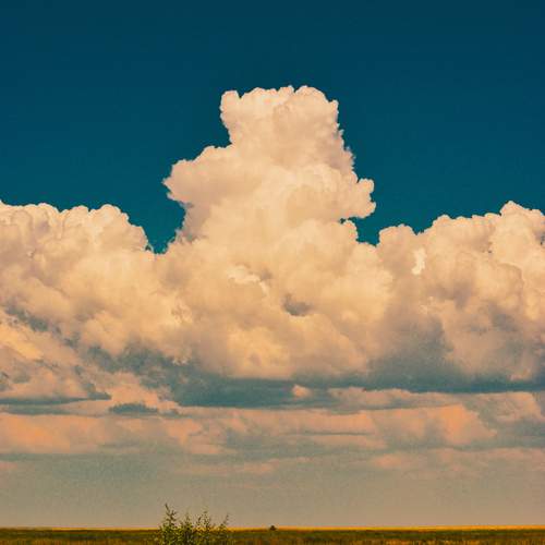 Photo #12521432