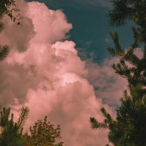 Photo #12521437