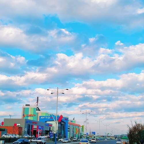 Photo #12521462