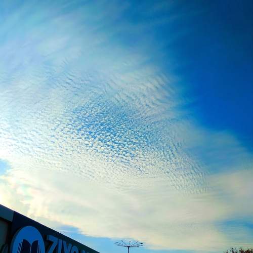 Photo #12521466