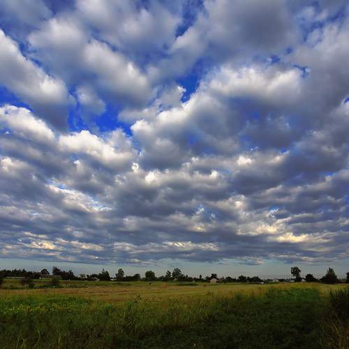 Photo #12521573
