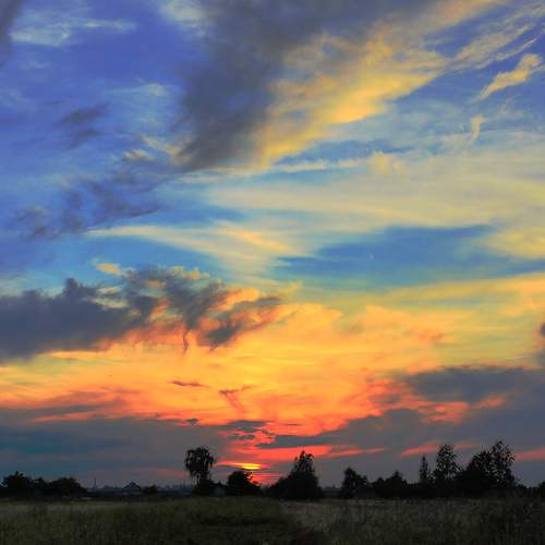 Photo #12521574