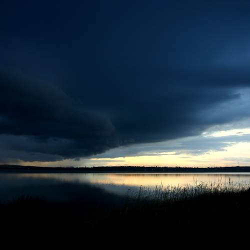 Photo #12521630