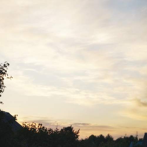 Photo #12521693