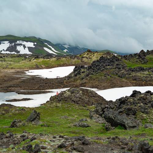 Photo #12521699