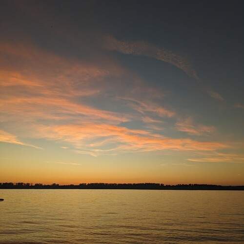 Photo #12521771
