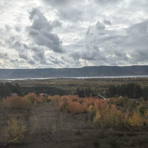 Photo #12521772