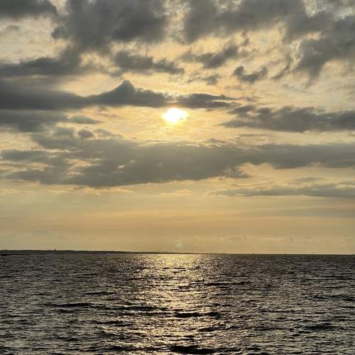 Photo #12521773