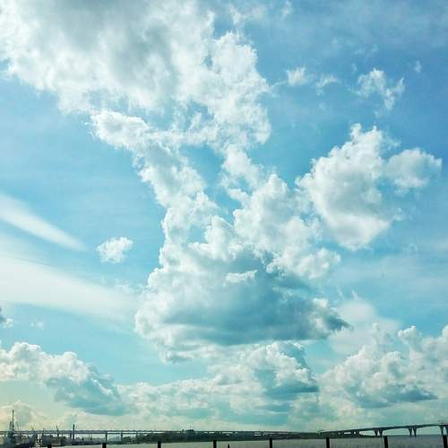 Photo #12521796